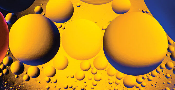 I quattro stati dell’acqua nell’olio I quattro stati dell’acqua nell’olio
